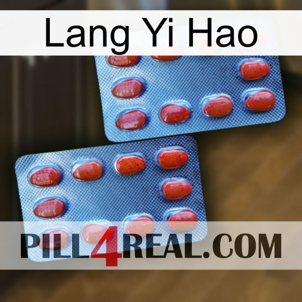 Lang Yi Hao 05